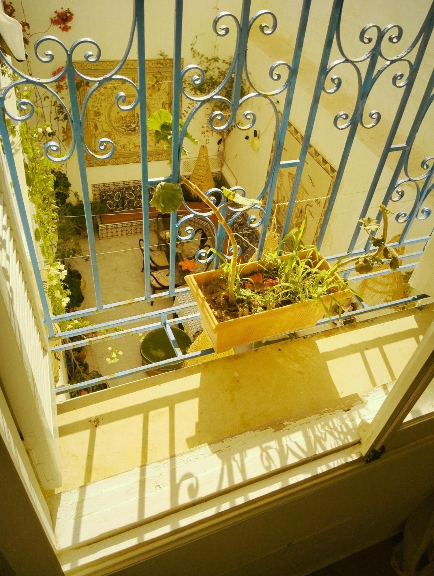 Maison Albatros Mahdia Esterno foto